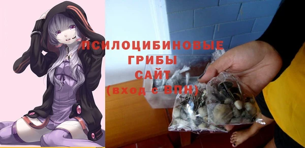 спиды Киреевск