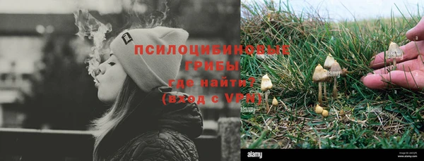 спиды Киреевск