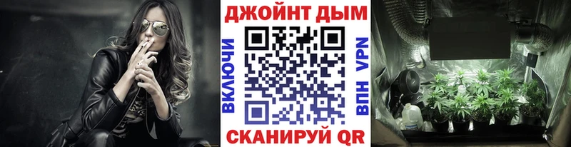 Купить  Гаврилов Посад  Бошки Шишки гибрид 